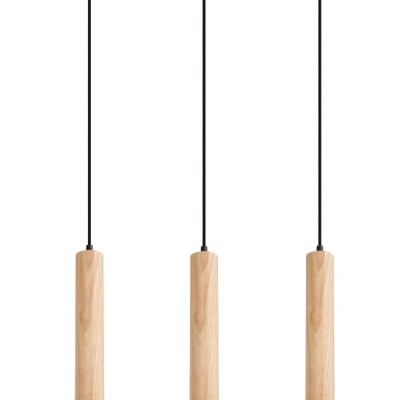 Braulia