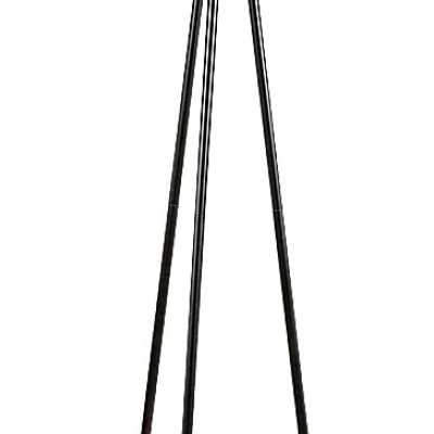 Lomiro