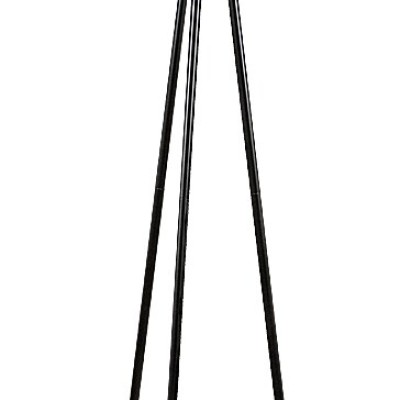 Lomiro