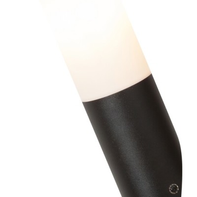Black torch