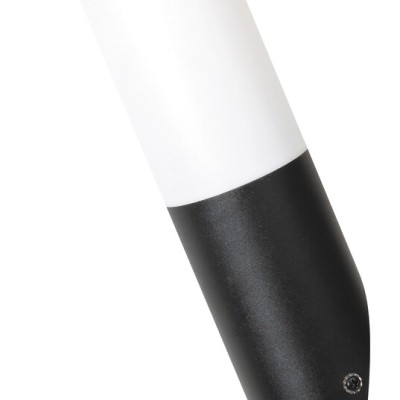 Black torch