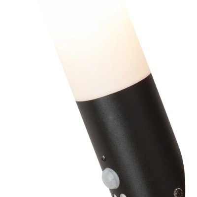 Black torch