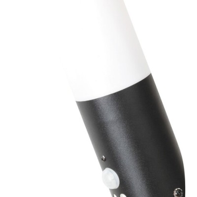 Black torch