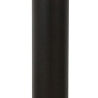 Black torch