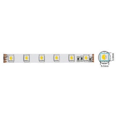 LED STRIP PLUS 24V 60x5050 14.4W 3M(ADHESIVE TAPE) 10mmIP20 RGBW 5m ROLL 5540490 VITO