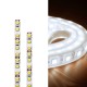 LED лента BAND LED ∙ 120 SMD2835 ∙ 6400K ∙ 5м
