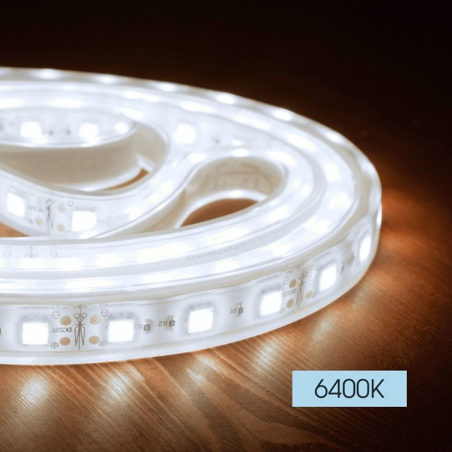 LED лента BAND LED ∙ 120 SMD2835 ∙ 6400K ∙ 5м